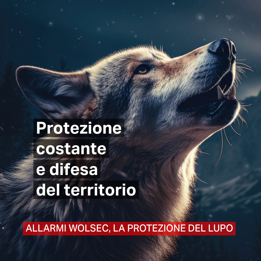 sistemi di sicurezza wolsec